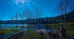 Trekking to West Bali National Park & Tamblingan Lake 3 Days